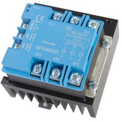 Mikro-Netzwerkrichter mit AC Kabel 600W - WVC600