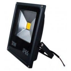 LED Projektor - 30W - 12V/24V