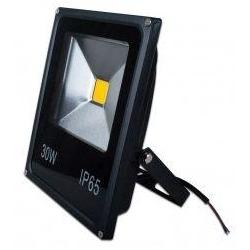 Projecteur LED - 30 W - 12 V/24 V